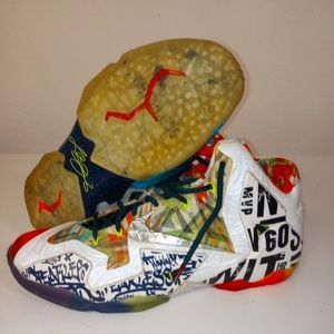 The Nike LeBron 11 "What The #@*%"